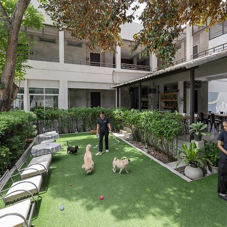 Ketawa Pet Friendly Hotel شيانغ ماي المظهر الخارجي الصورة