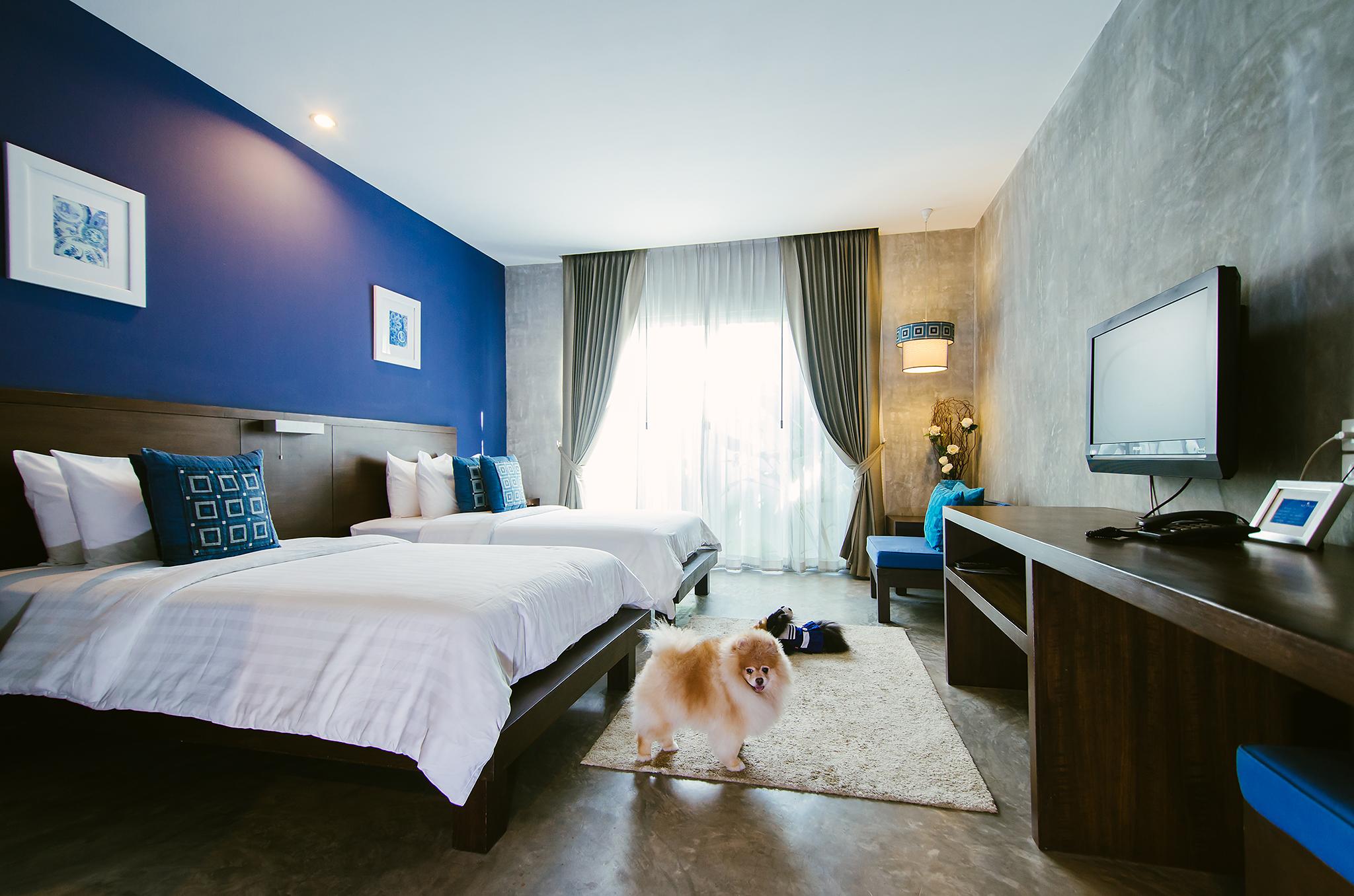 Ketawa Pet Friendly Hotel شيانغ ماي المظهر الخارجي الصورة