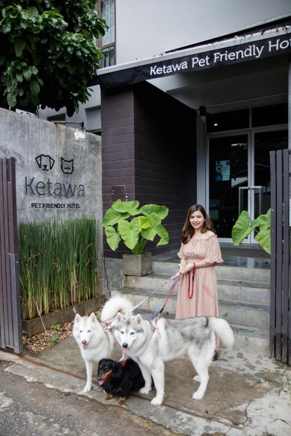 Ketawa Pet Friendly Hotel شيانغ ماي المظهر الخارجي الصورة