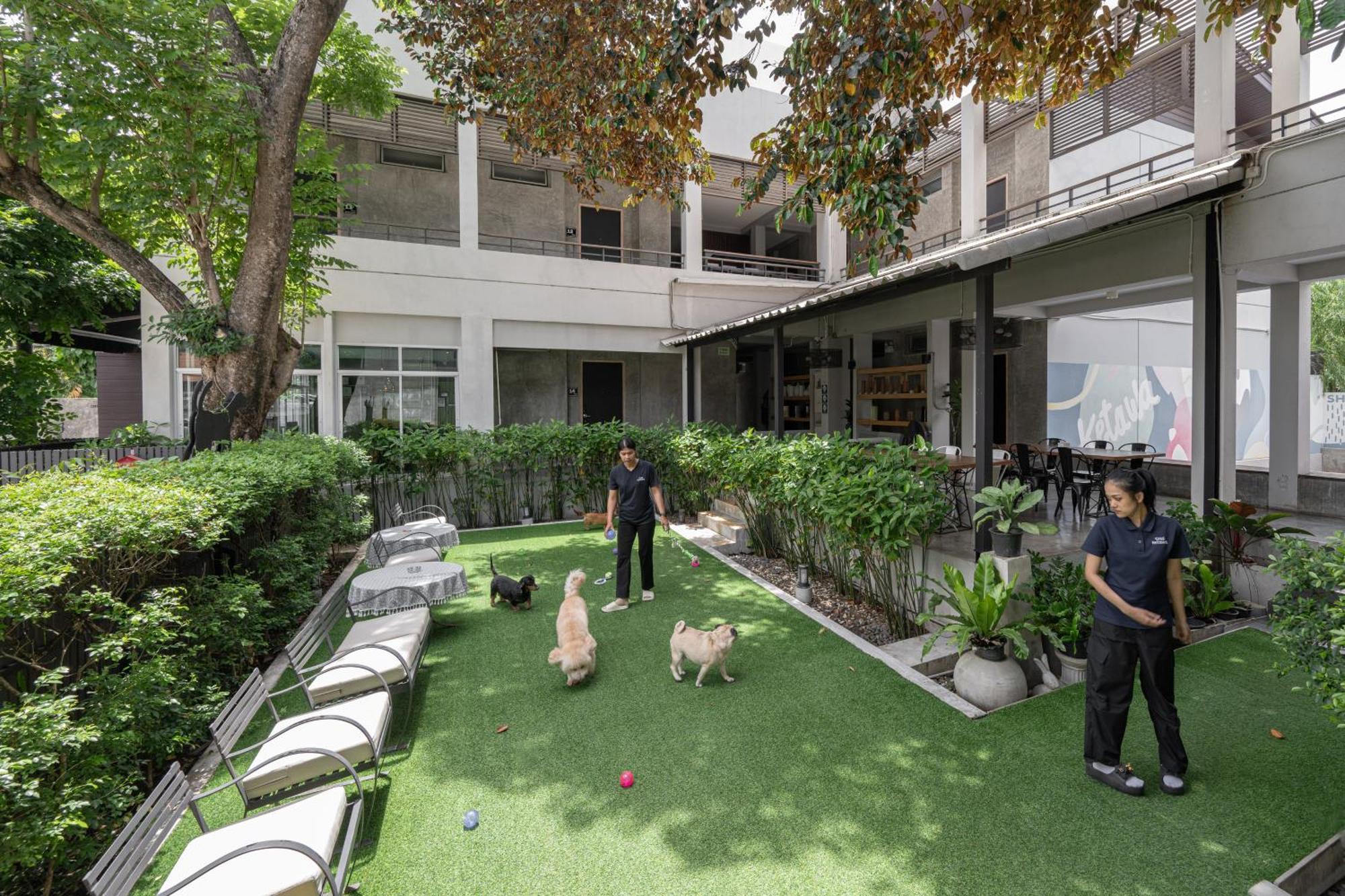 Ketawa Pet Friendly Hotel شيانغ ماي المظهر الخارجي الصورة