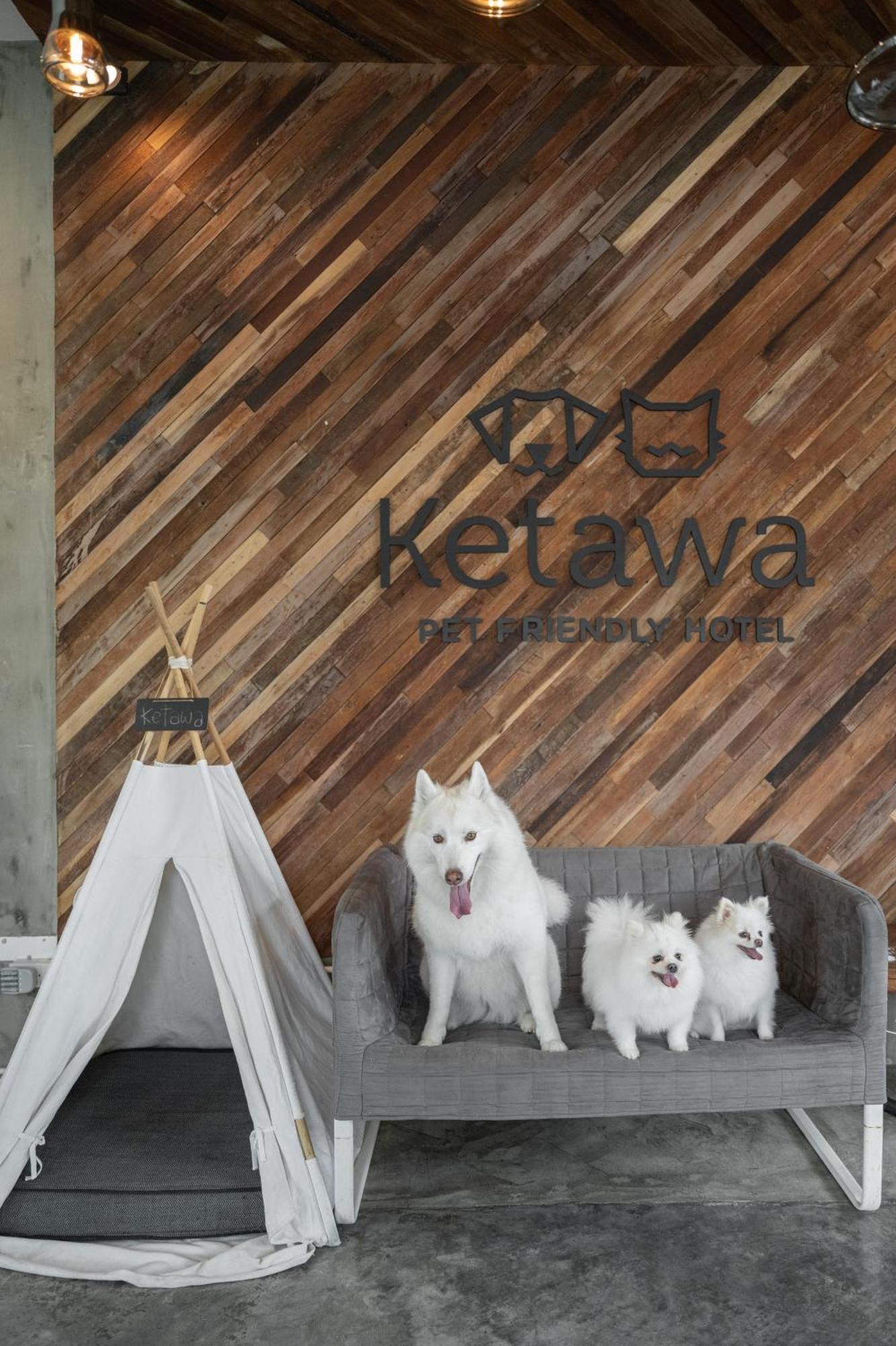 Ketawa Pet Friendly Hotel شيانغ ماي المظهر الخارجي الصورة