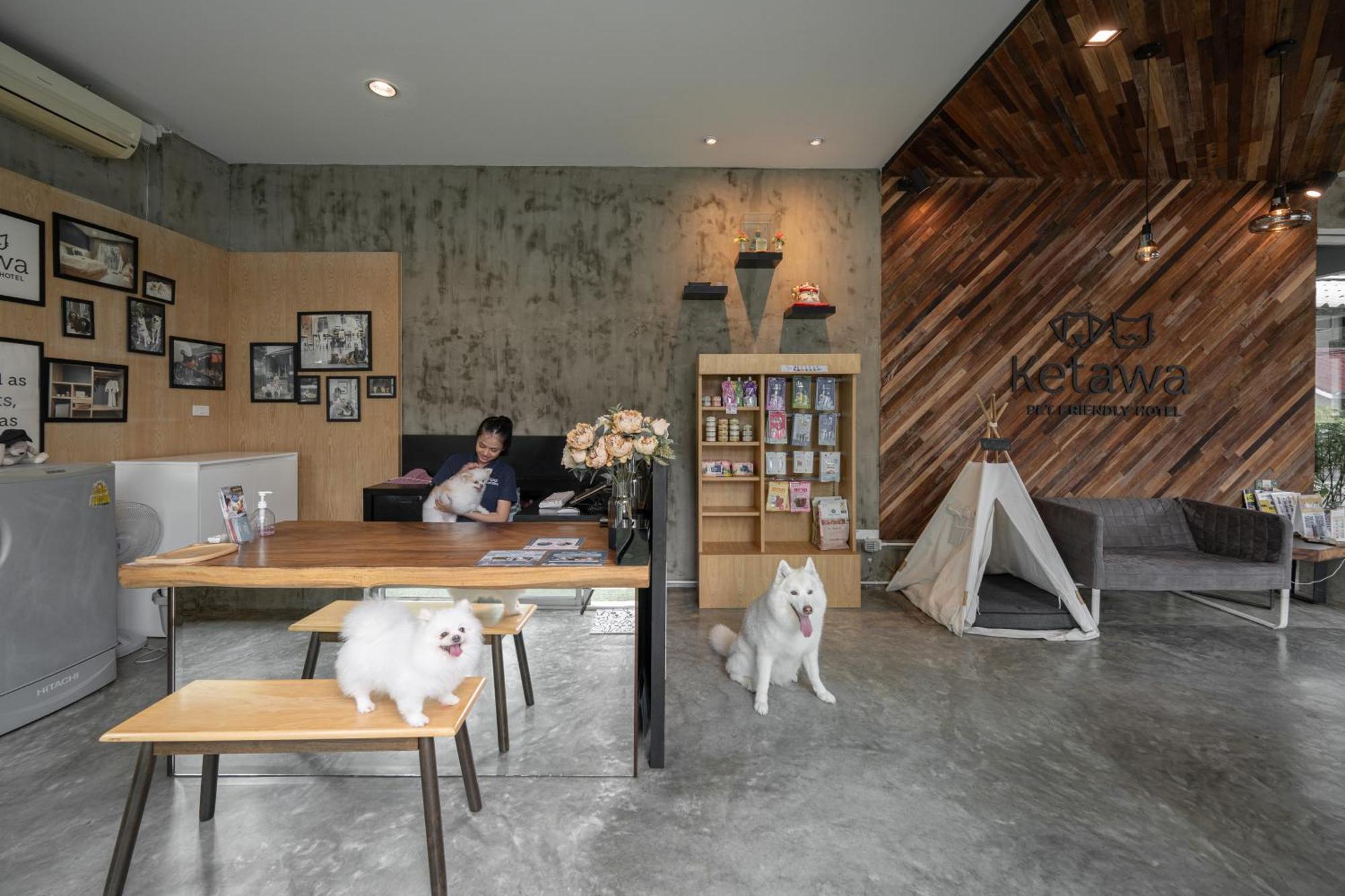 Ketawa Pet Friendly Hotel شيانغ ماي المظهر الخارجي الصورة